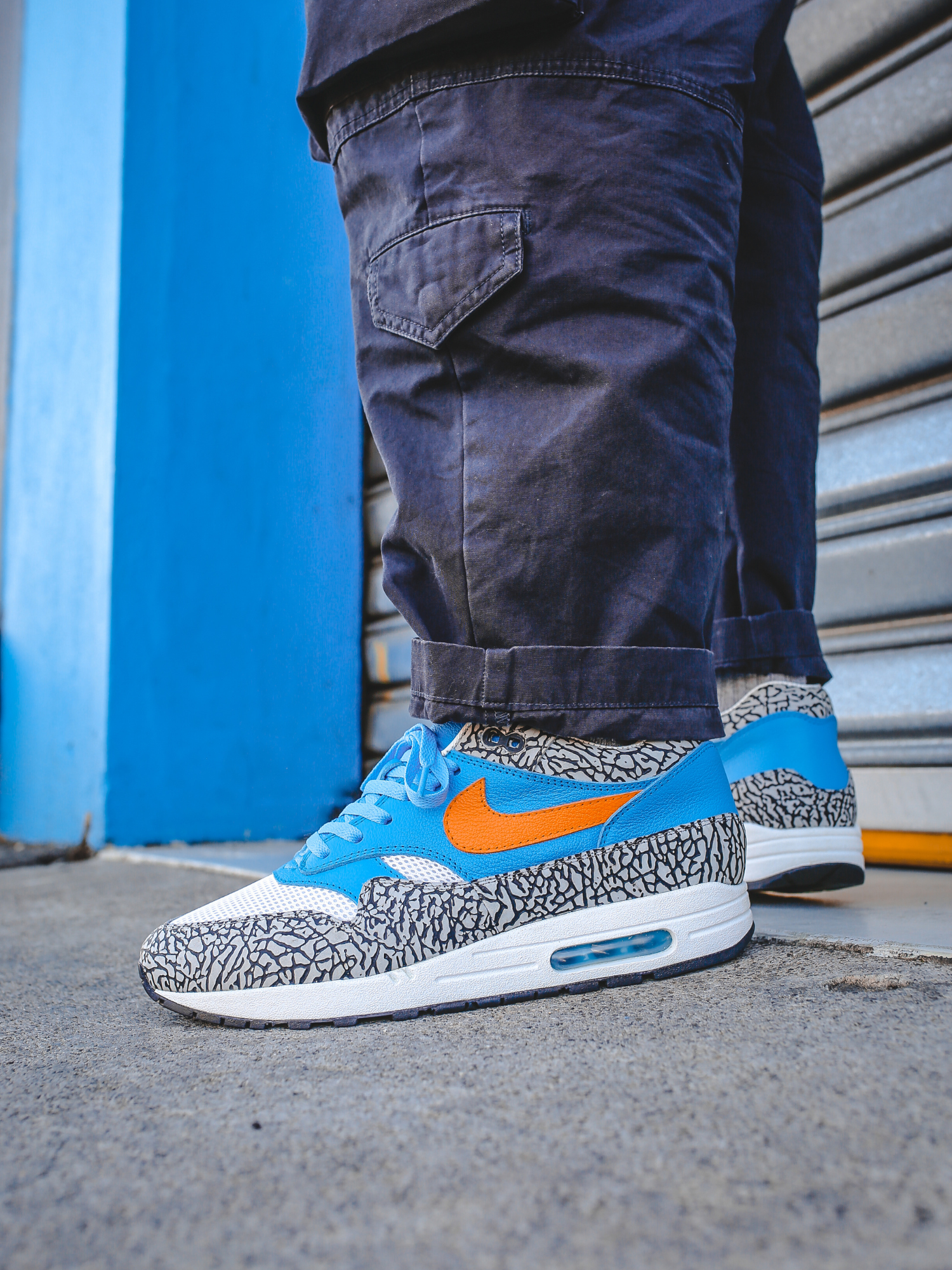 Elephant Print PRE-ORDER